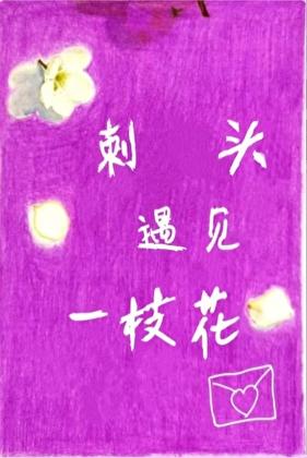 迷雾是什么意思啊