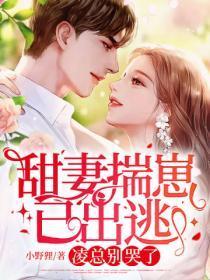 甜妻揣崽已出逃,凌总别哭了